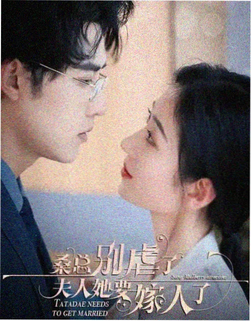 狂飙 电视剧免费观看